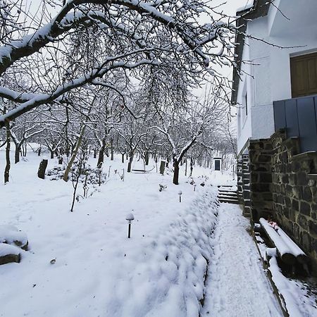 Almas Tanya Vendeghaz Villa Szuha Buitenkant foto