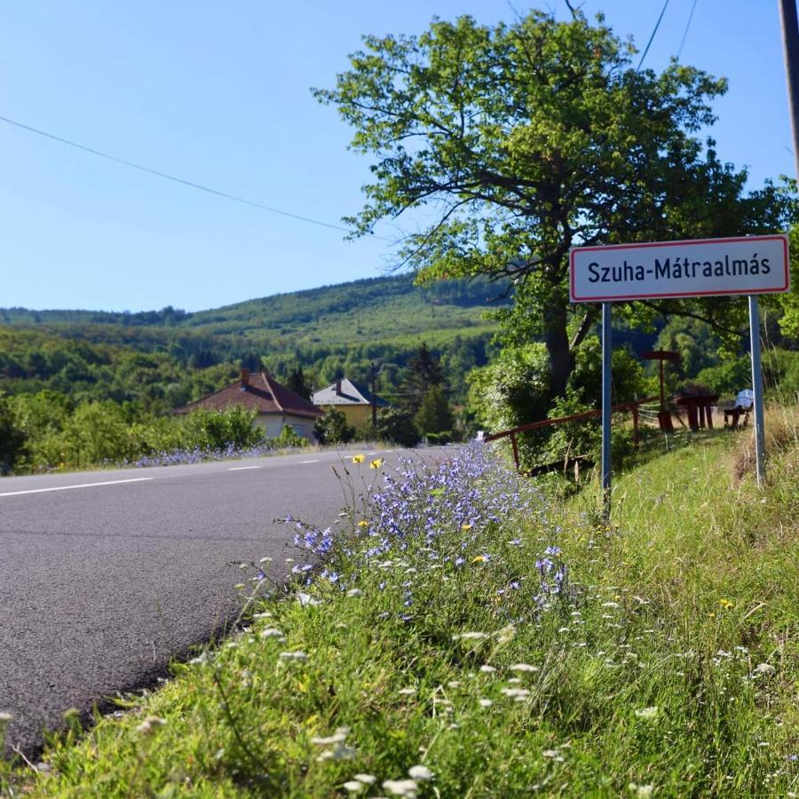 Almas Tanya Vendeghaz Villa Szuha Buitenkant foto