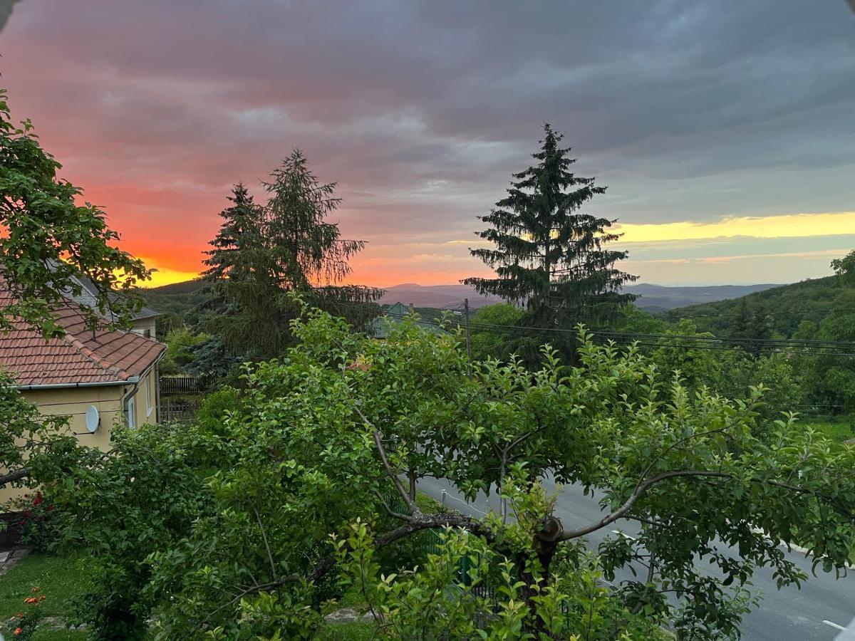 Almas Tanya Vendeghaz Villa Szuha Buitenkant foto