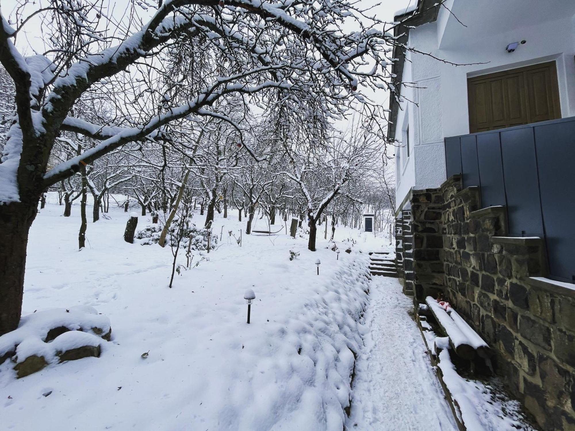 Almas Tanya Vendeghaz Villa Szuha Buitenkant foto